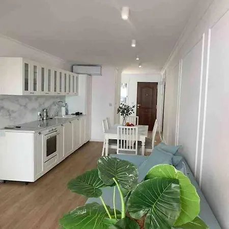 Flaming 4f * 托雷维耶哈